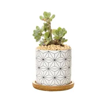 Sulīgs Augu Podi, Cilindriskas formas Keramikas Poda, lai Kaktuss,Sukulentu GXMA