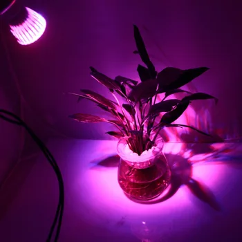 10PCS Pilna spektra LED Augt lights15W E27 LED Augt lampas spuldzes Gurķu Ziedu, augu, Dārzeņu Hidroponika sistēmas AC/85-265V