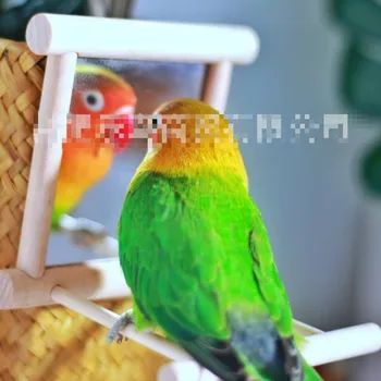 2GAB Putnu Rotaļlietas Papagailis Piegādes masīvkoka ar Statīvu Putnu Spogulis ar turētāju Papagailis Mācību Rotaļlietas