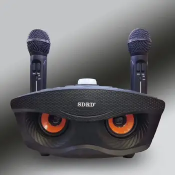 Sdrd sd-306 ģimenes karaoke sistēma divus bezvadu mikrofonus, dual Bluetooth skaļrunis