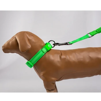 Suņu Collars Neilona Gaismas Dienasgaismas LED Gaismas USB Lādējamu Nakts Drošību Mirgo Spīd Tumsā Pet Apkakles Siksna