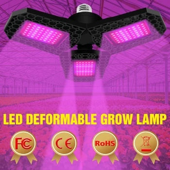 E27 Fitolampy LED Pilna Spektra 220V Augt Lampas E26 siltumnīcas efektu Izraisošo Augu Gaismas LED Stādus Fito Lampas LED Audzēšanas Spuldzes 40W 60W 80W