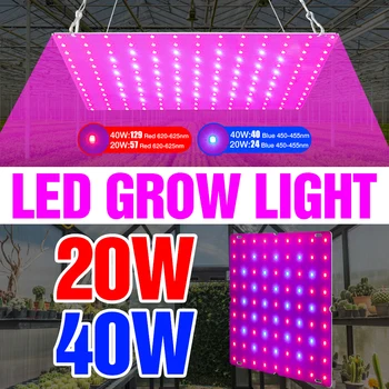 Pilna Spektra LED Augu Lampas Izaugsmes LED Fito Lampas LED Augt Telts Gaismas 20W 40W Puķu Stādus Iekštelpu Siltumnīcefekta Gaismas Fitolampy