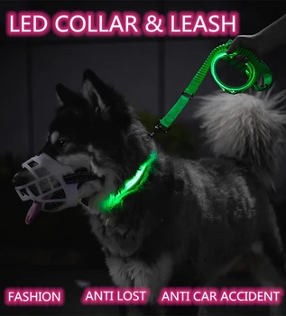 Suņu Collars Neilona Gaismas Dienasgaismas LED Gaismas USB Lādējamu Nakts Drošību Mirgo Spīd Tumsā Pet Apkakles Siksna