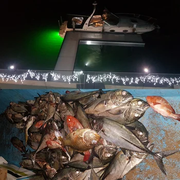Lukturītis lanterne 12V led gaismas LED Zemūdens Zvejas Gaismas IP68 Ūdensnecaurlaidīga Lures Fish Finder Lampas Zvejas Gaismas Nozvejas zivis