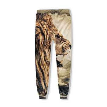 Rudens Vīriešu hoodies sporta krekls funny Dzīvnieku Lauva 3D Visā Print modes Zīmolu apģērbu vīriešiem, sievietēm pelēkā vārna+joggers bikses