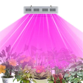 Super rentabls Jauno LED Augu Augšanas COB Gaismas 300W 1200W 1500W 1800W Ar Pilna Spektra Izmantoti, Lai Augt Svaigi HerbsVegetables