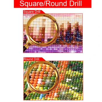 Pilna 5D Diy Kvadrātveida/Apaļā Daimond Gleznas Kaķēns, kucēns 3D Dimanta Krāsošana Rhinestones Gleznas, Izšuvumi, D9